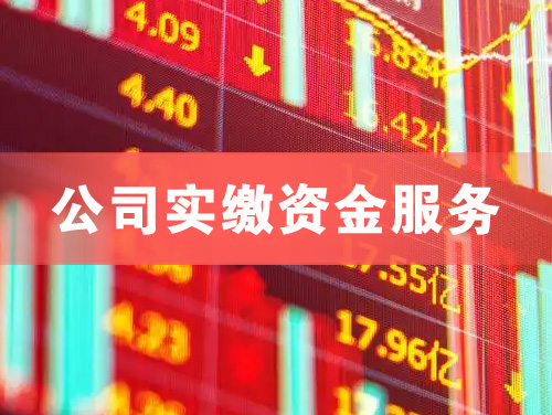 东方公司实缴资金服务